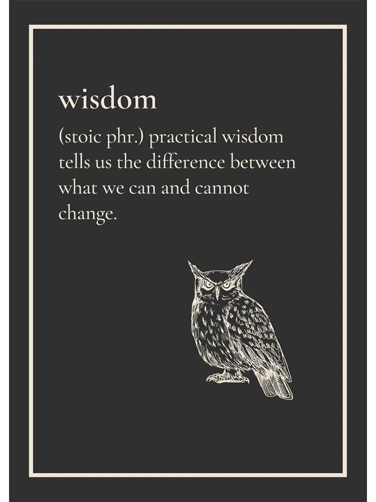 Owl-Lion-Motivational-Poster